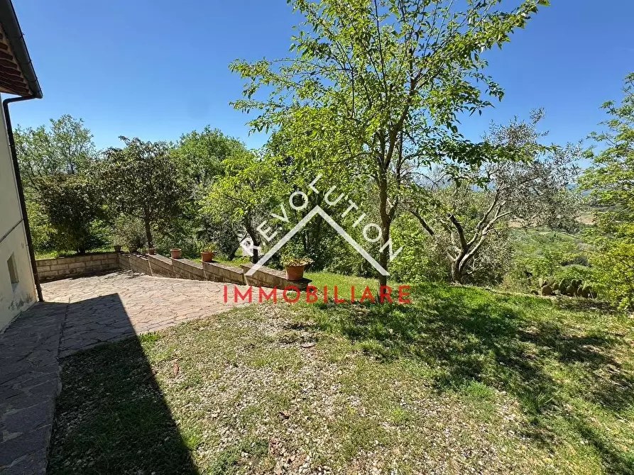 Immagine 31 di Rustico / casale in vendita  in Vocabolo Coldipozzo a Città Di Castello