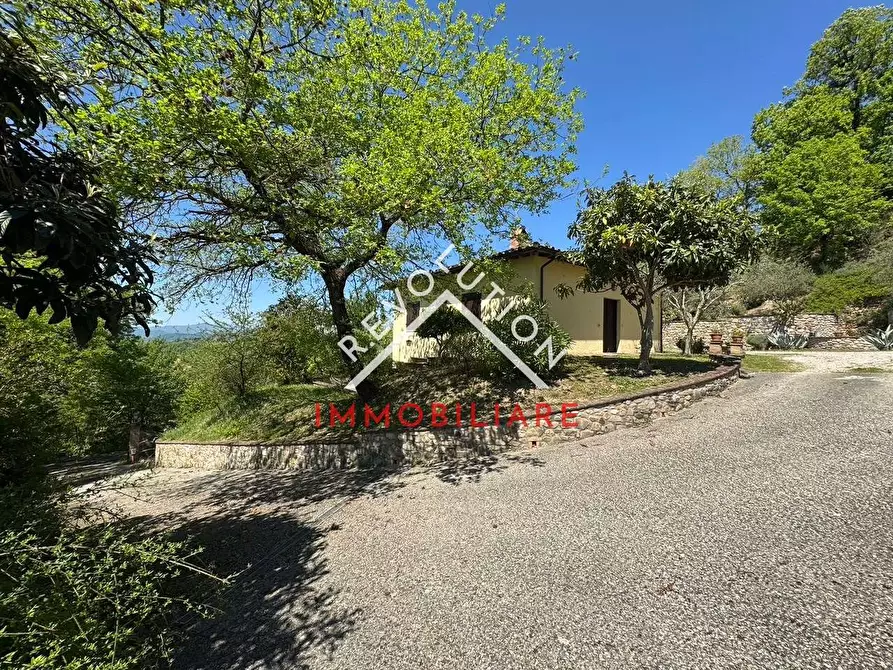 Immagine 29 di Rustico / casale in vendita  in Vocabolo Coldipozzo a Città Di Castello