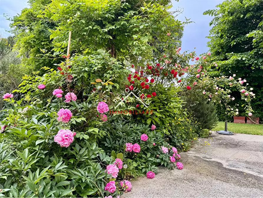 Immagine 2 di Appartamento in vendita  in Via Filippo Brunelleschi a Sansepolcro