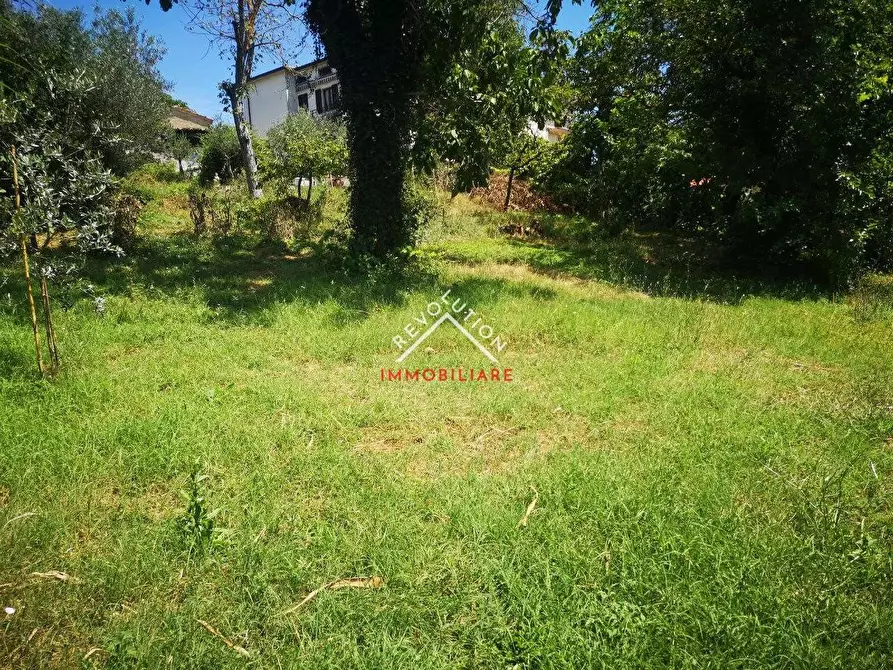 Immagine 9 di Terreno edificabile in vendita  in Via Carlo Porta a Città Di Castello