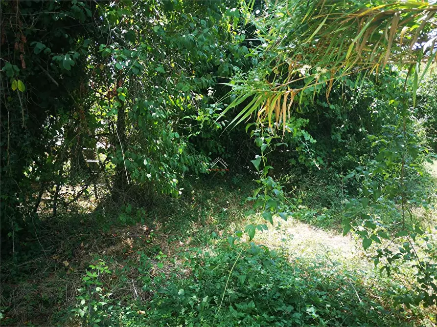 Immagine 17 di Terreno edificabile in vendita  in Via Carlo Porta a Città Di Castello