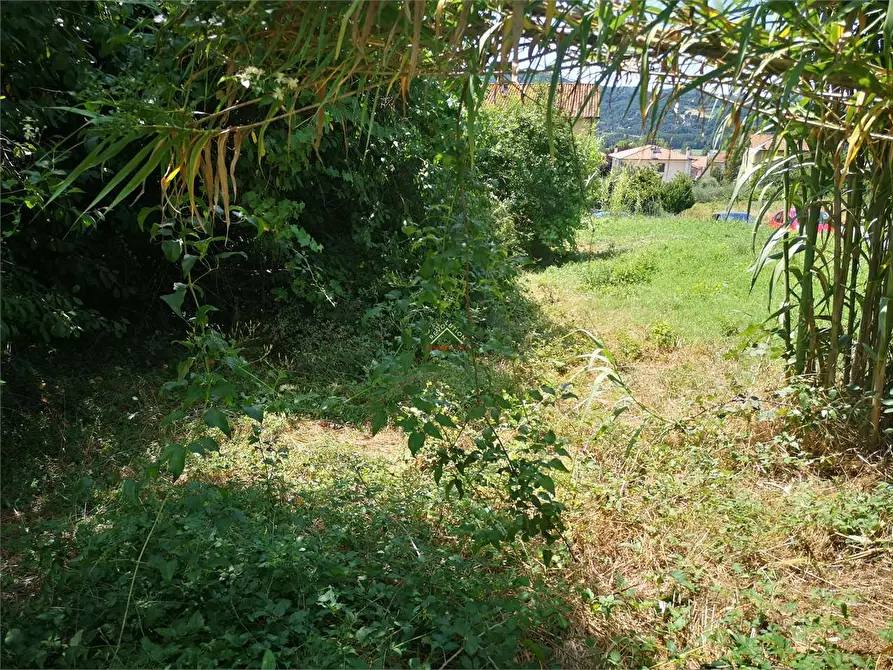 Immagine 18 di Terreno edificabile in vendita  in Via Carlo Porta a Città Di Castello