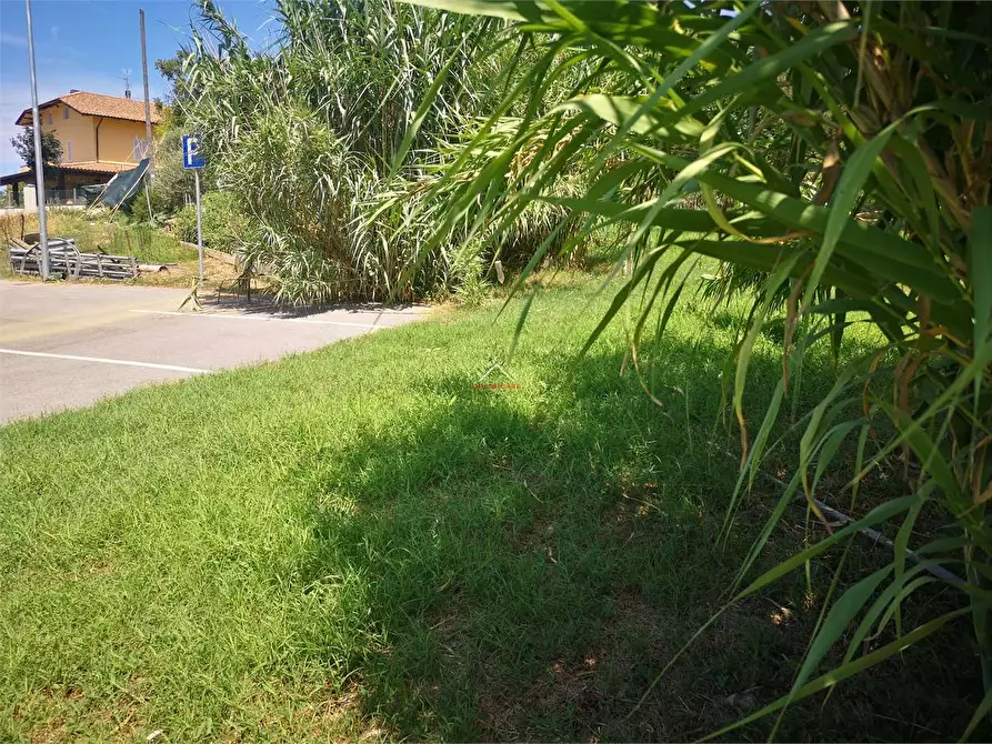 Immagine 22 di Terreno edificabile in vendita  in Via Carlo Porta a Città Di Castello