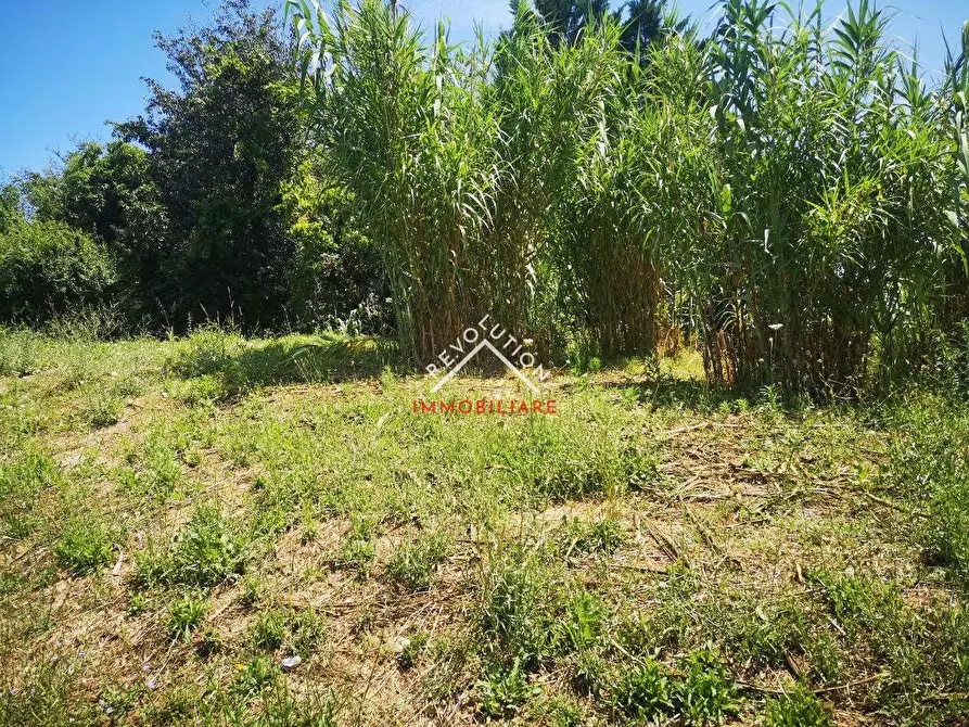 Immagine 24 di Terreno edificabile in vendita  in Via Carlo Porta a Città Di Castello