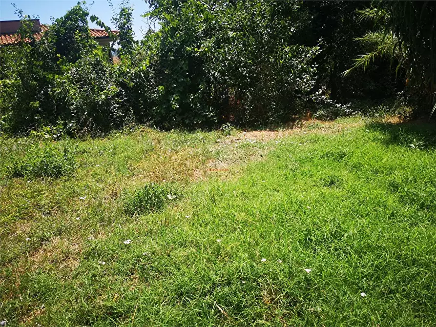 Immagine 2 di Terreno edificabile in vendita  in Via Carlo Porta a Città Di Castello