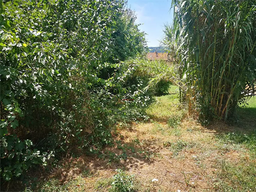 Immagine 3 di Terreno edificabile in vendita  in Via Carlo Porta a Città Di Castello