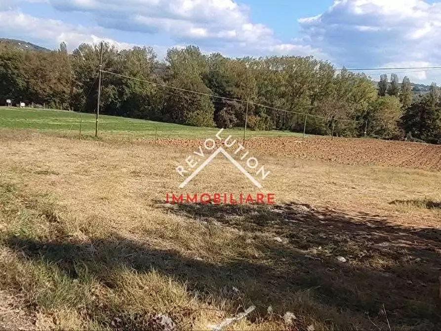 Immagine 16 di Terreno edificabile in vendita  in Santa Maria di Sette a Montone