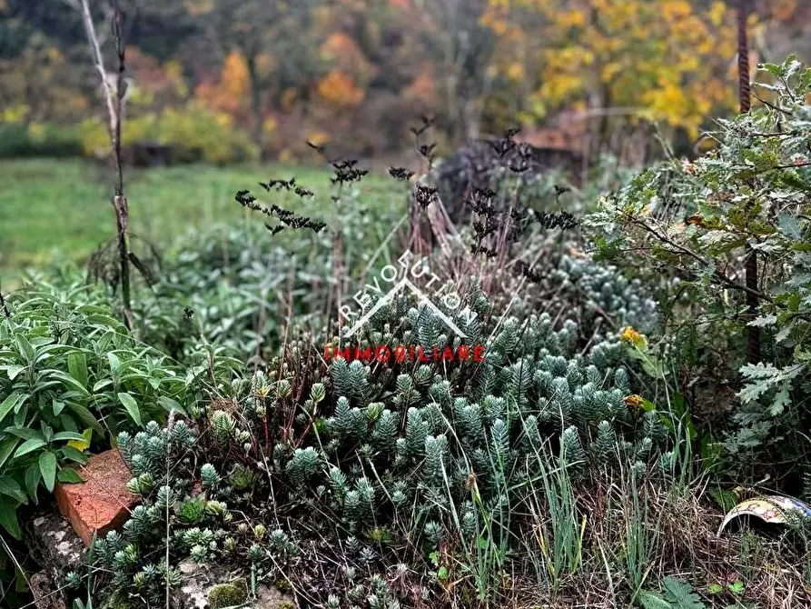 Immagine 29 di Casa indipendente in vendita  in SR257 a Città Di Castello