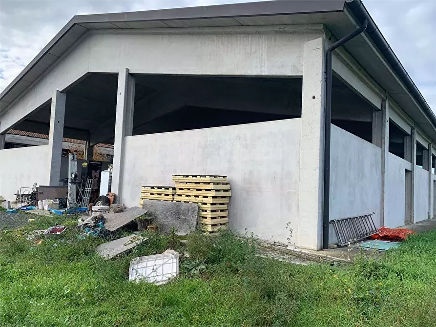 Immagine 8 di Capannone industriale in vendita  in Via Gramsci a Citerna