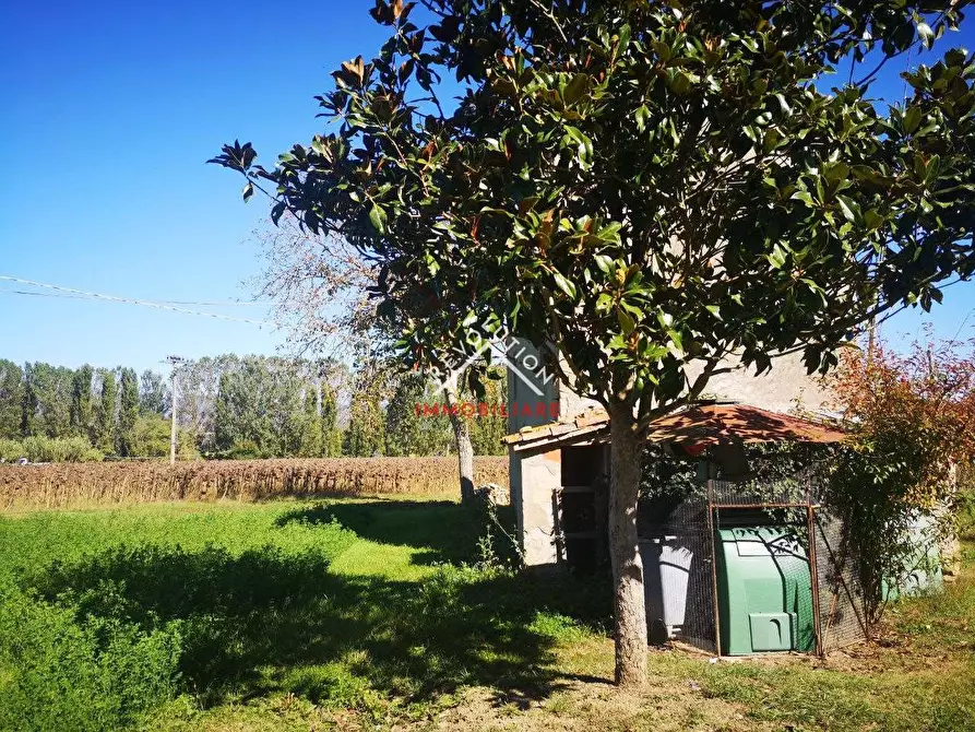 Immagine 11 di Rustico / casale in vendita  in Vocabolo Scarzola a Città Di Castello