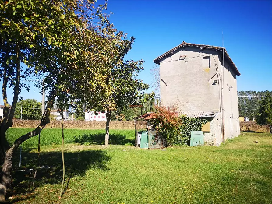 Immagine 6 di Rustico / casale in vendita  in Vocabolo Scarzola a Città Di Castello