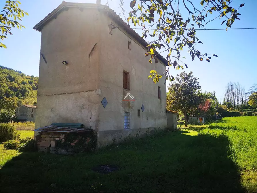 Immagine 5 di Rustico / casale in vendita  in Vocabolo Scarzola a Città Di Castello