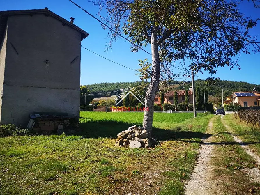 Immagine 8 di Rustico / casale in vendita  in Vocabolo Scarzola a Città Di Castello