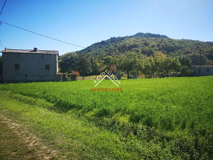 Immagine 26 di Rustico / casale in vendita  in Vocabolo Scarzola a Città Di Castello