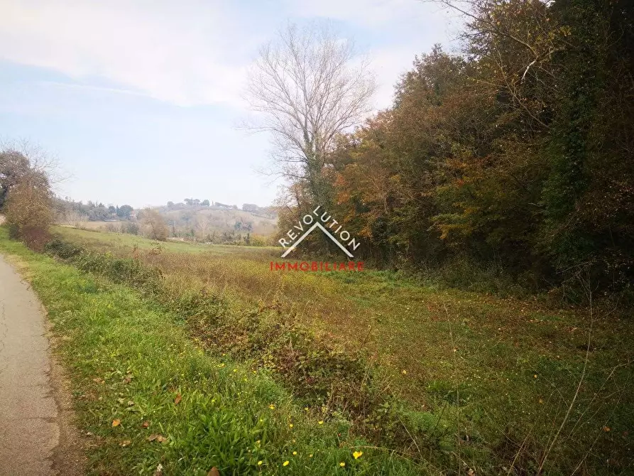 Immagine 8 di Terreno edificabile in vendita  a Monte Santa Maria Tiberina