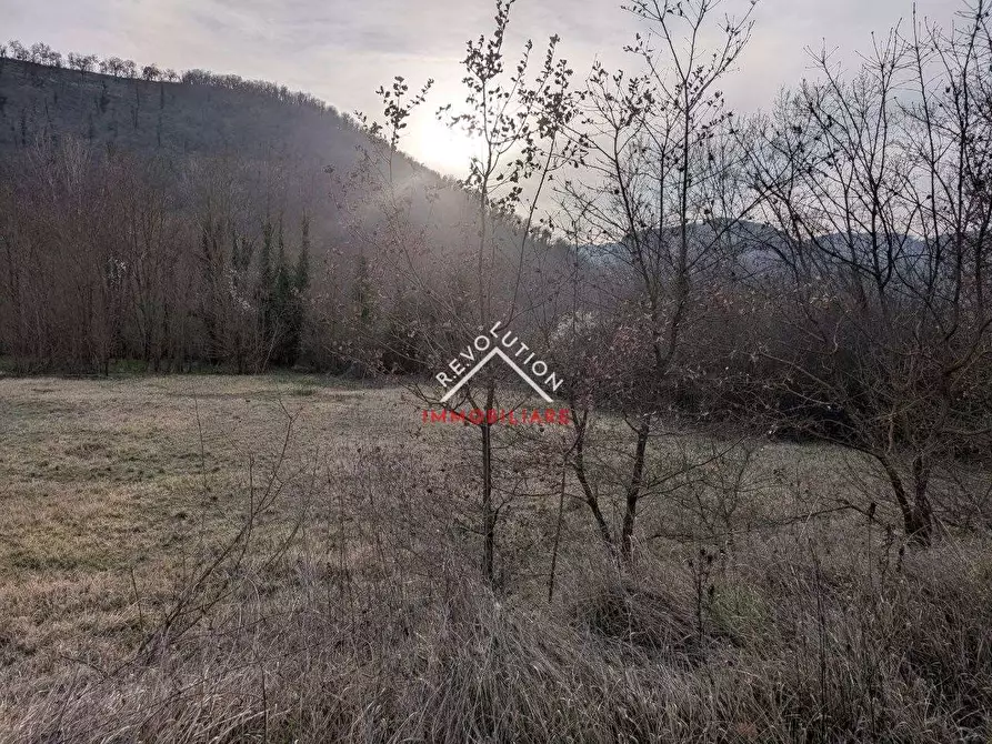 Immagine 3 di Terreno edificabile in vendita  a Monte Santa Maria Tiberina