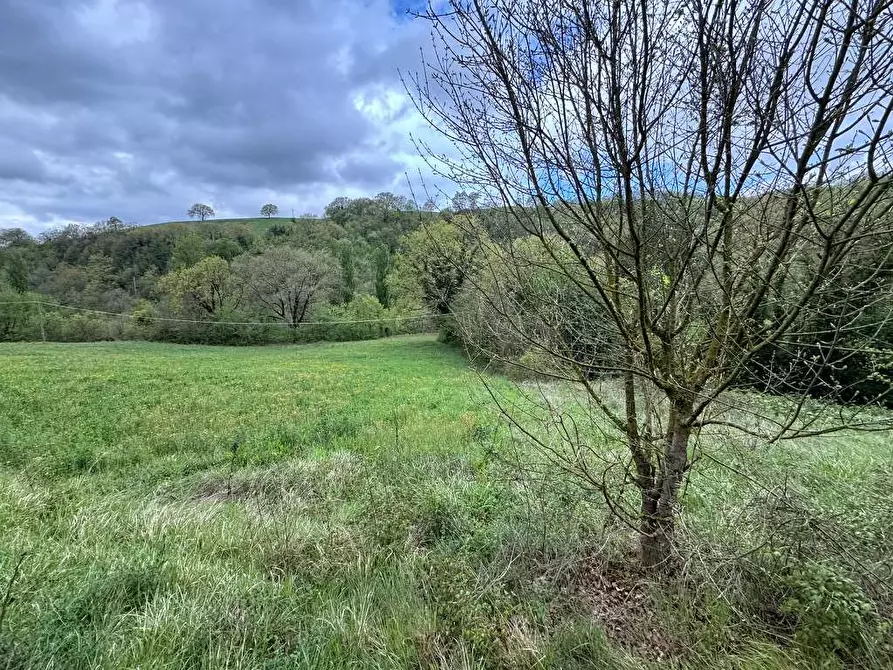 Immagine 6 di Terreno agricolo in vendita  in vocabolo sant'anna a Pietralunga