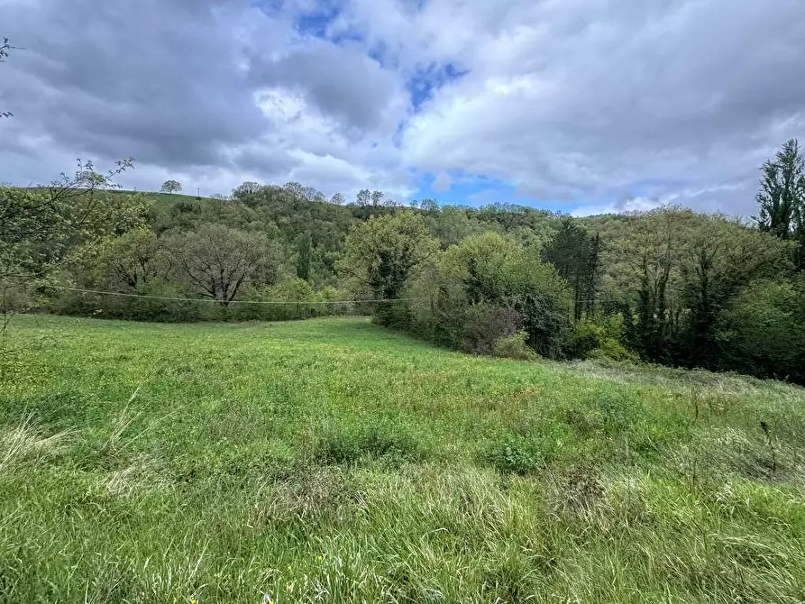 Immagine 7 di Terreno agricolo in vendita  in vocabolo sant'anna a Pietralunga