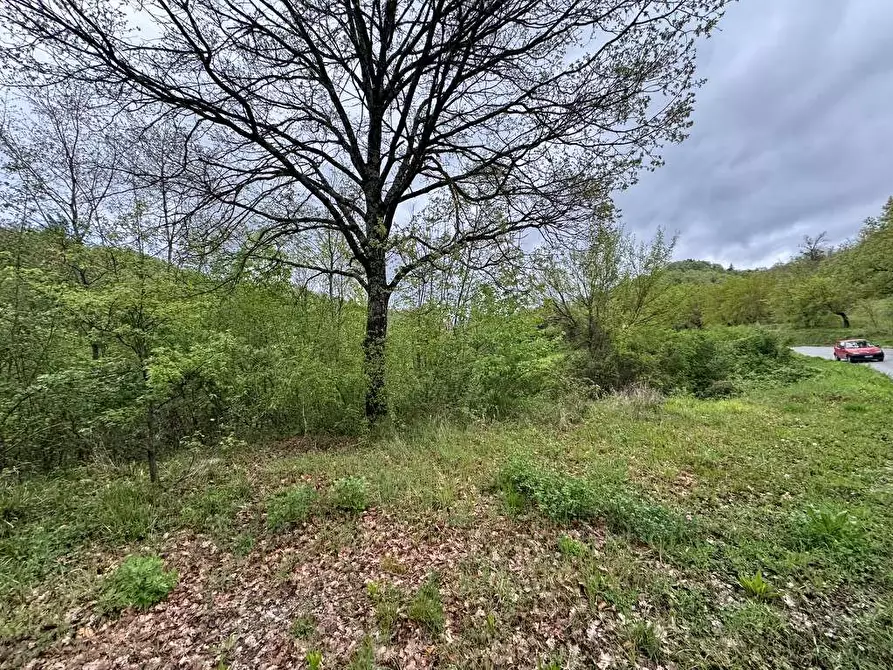 Immagine 8 di Terreno agricolo in vendita  in vocabolo sant'anna a Pietralunga