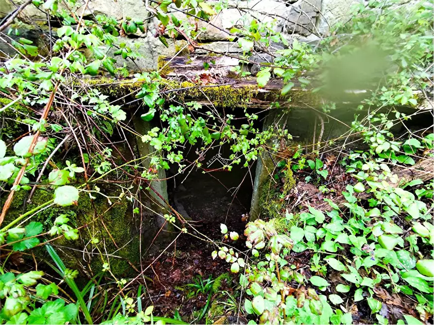 Immagine 26 di Rustico / casale in vendita  in valsavignone - ville di roti a Pieve Santo Stefano