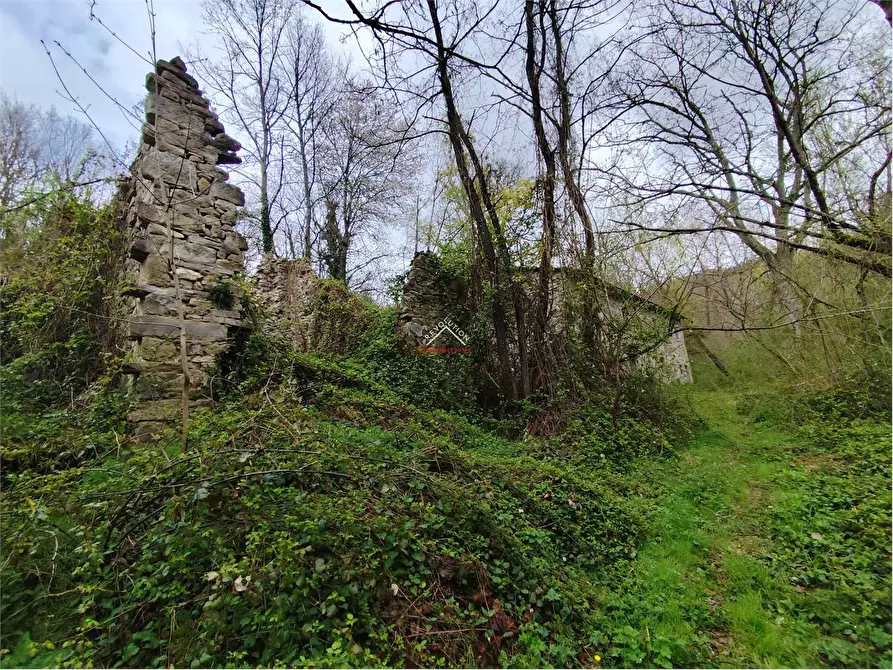Immagine 27 di Rustico / casale in vendita  in valsavignone - ville di roti a Pieve Santo Stefano