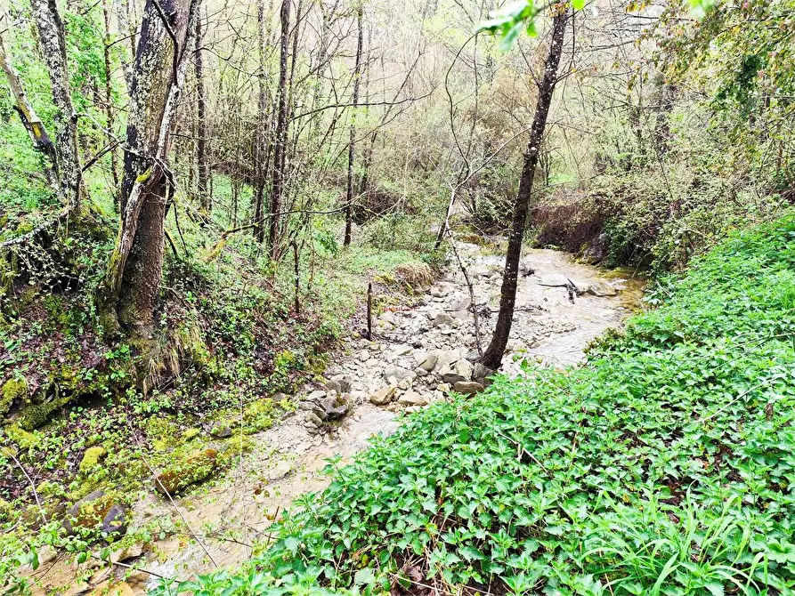 Immagine 28 di Rustico / casale in vendita  in valsavignone - ville di roti a Pieve Santo Stefano
