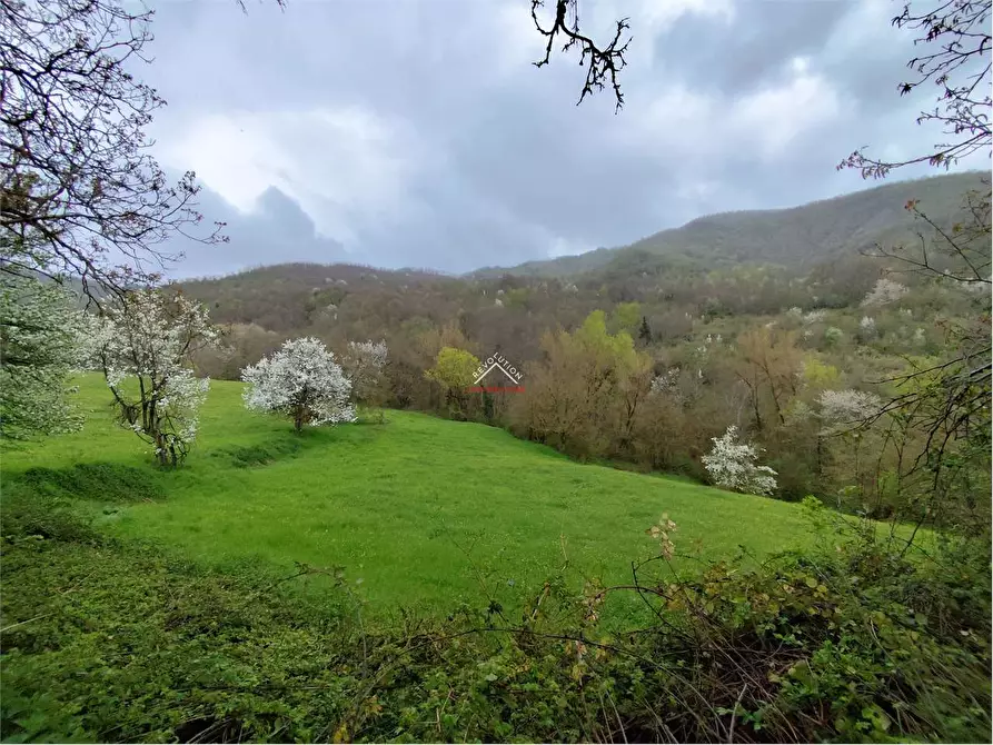 Immagine 30 di Rustico / casale in vendita  in valsavignone - ville di roti a Pieve Santo Stefano