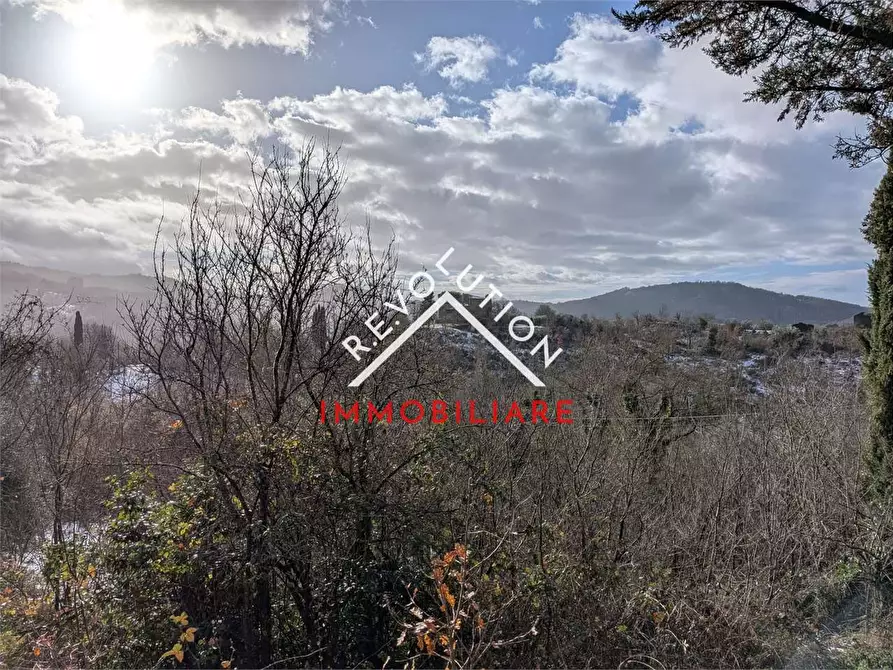 Immagine 12 di Rustico / casale in vendita  in località niccone san paolo a Umbertide