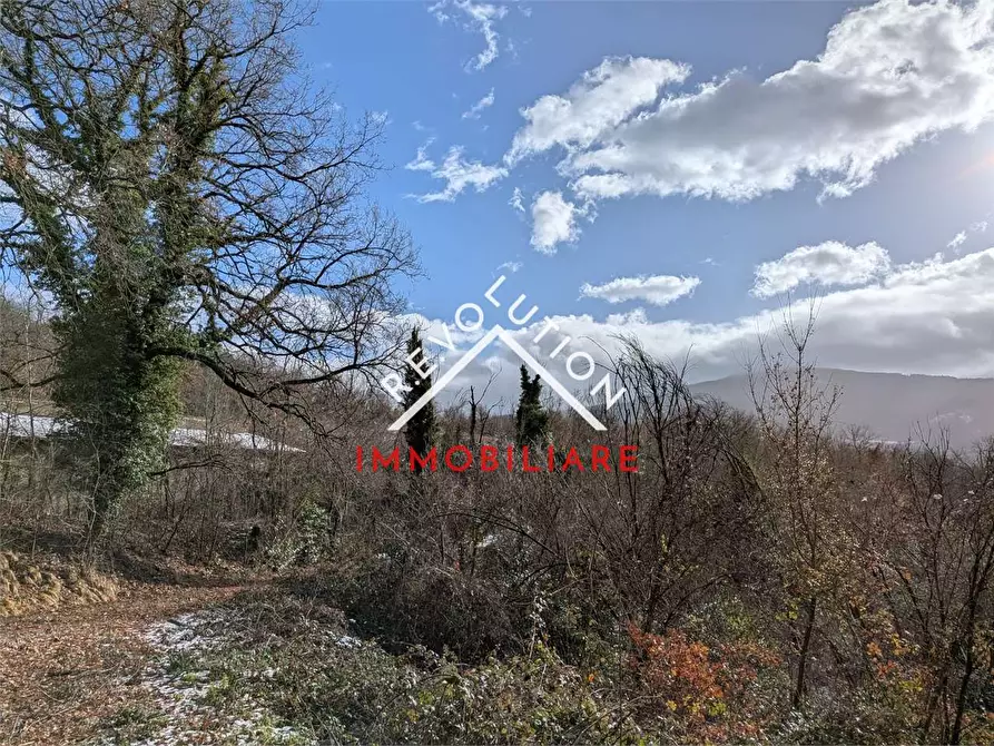 Immagine 17 di Rustico / casale in vendita  in località niccone san paolo a Umbertide