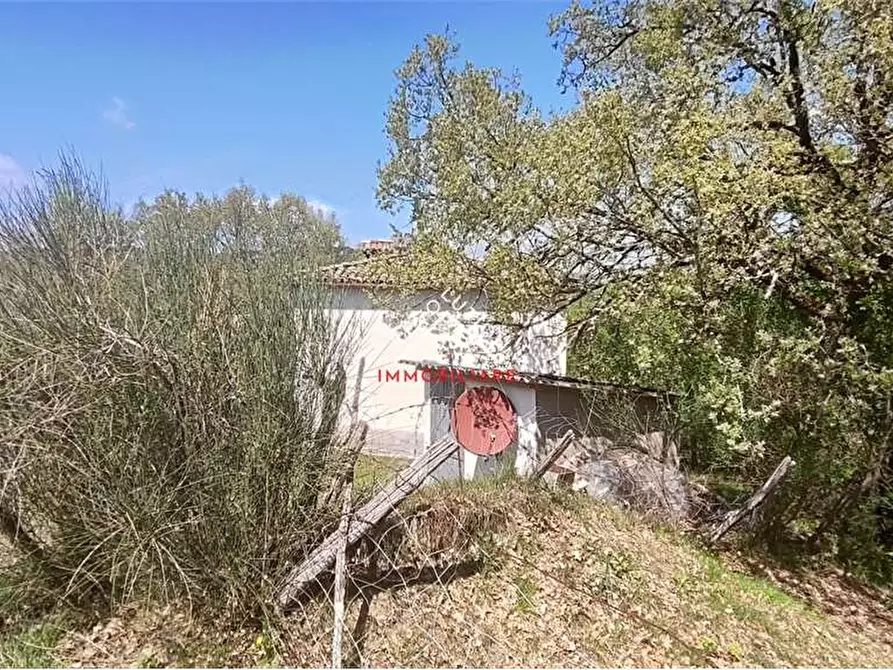 Immagine 28 di Casa indipendente in vendita  in FRAZIONE MARCIGNANO a Monte Santa Maria Tiberina