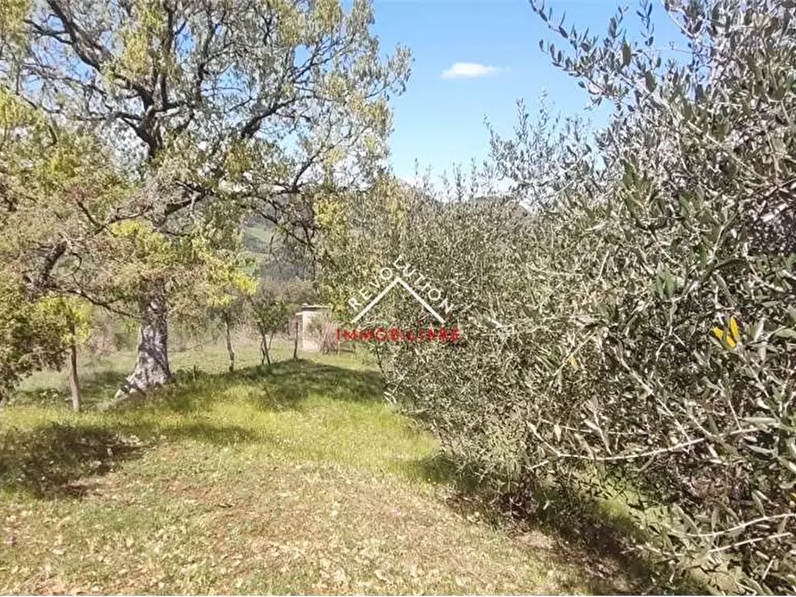Immagine 32 di Casa indipendente in vendita  in FRAZIONE MARCIGNANO a Monte Santa Maria Tiberina