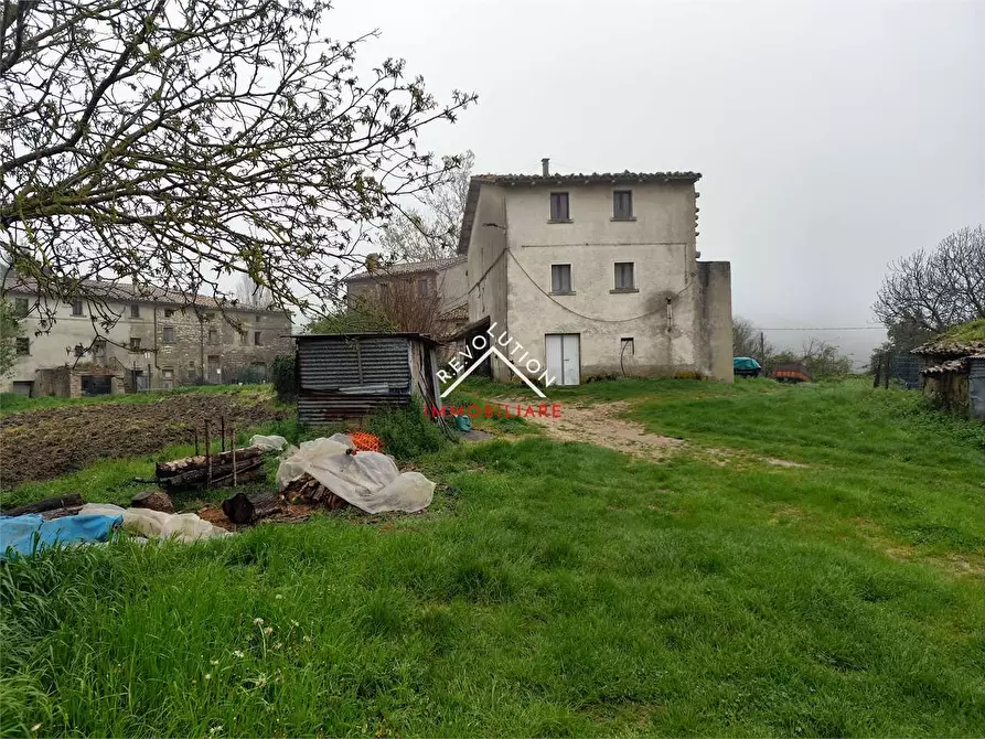 Immagine 3 di Rustico / casale in vendita  in Vocabolo Sessaglia a Apecchio