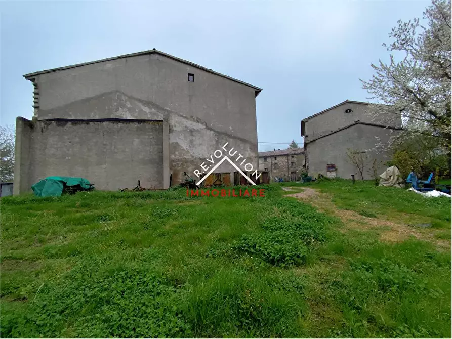 Immagine 4 di Rustico / casale in vendita  in Vocabolo Sessaglia a Apecchio