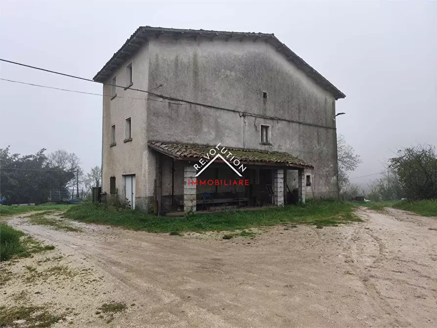 Immagine 1 di Rustico / casale in vendita  in Vocabolo Sessaglia a Apecchio