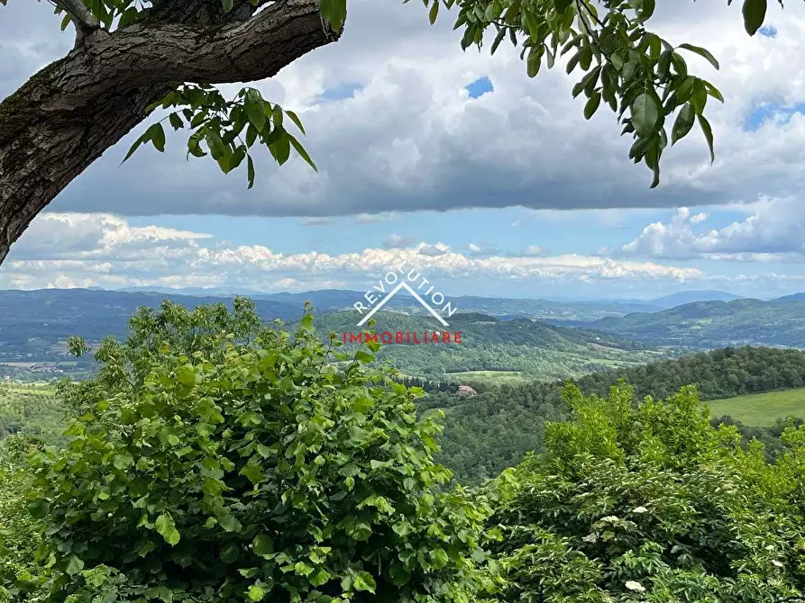 Immagine 42 di Porzione di casa in vendita  in Loc  Trevine a Monte Santa Maria Tiberina