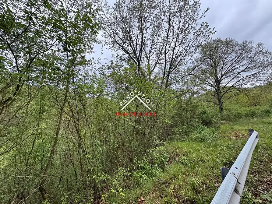 Immagine 4 di Terreno agricolo in vendita  in Vocabolo Sant'Anna a Pietralunga