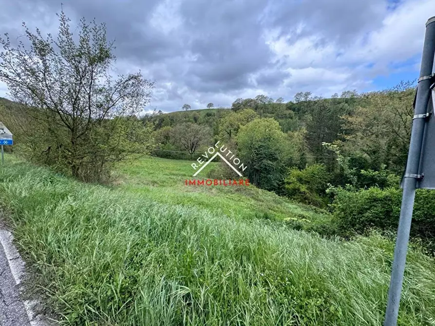 Immagine 5 di Terreno agricolo in vendita  in Vocabolo Sant'Anna a Pietralunga