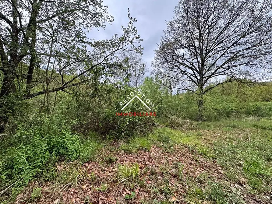 Immagine 3 di Terreno agricolo in vendita  in Vocabolo Sant'Anna a Pietralunga