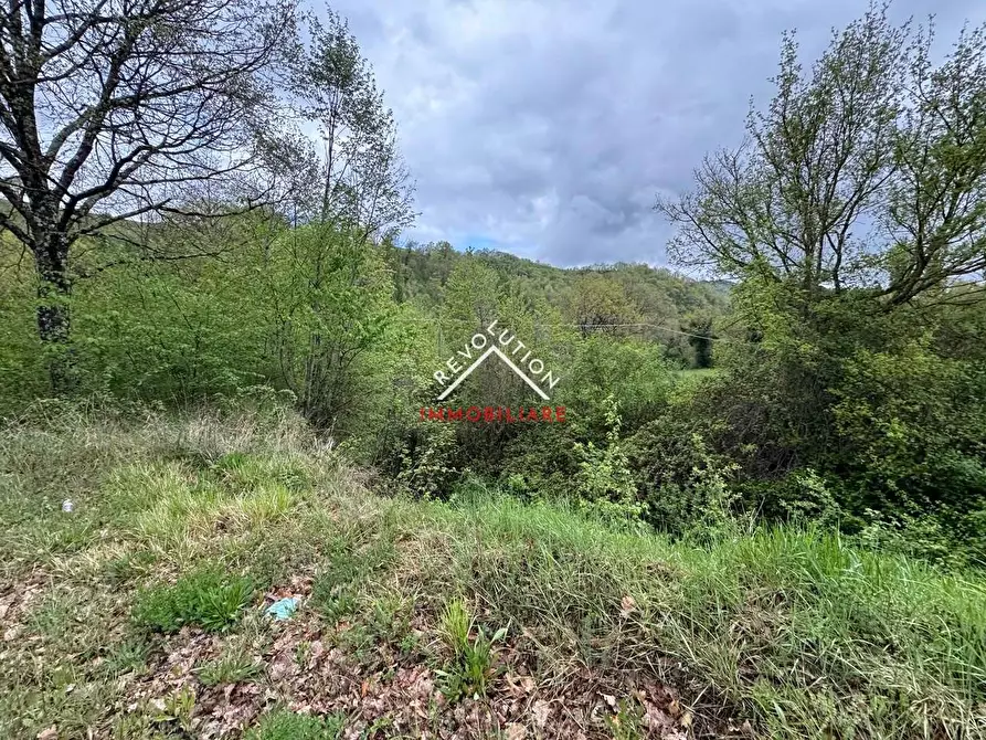 Immagine 20 di Terreno agricolo in vendita  in Vocabolo Sant'Anna a Pietralunga