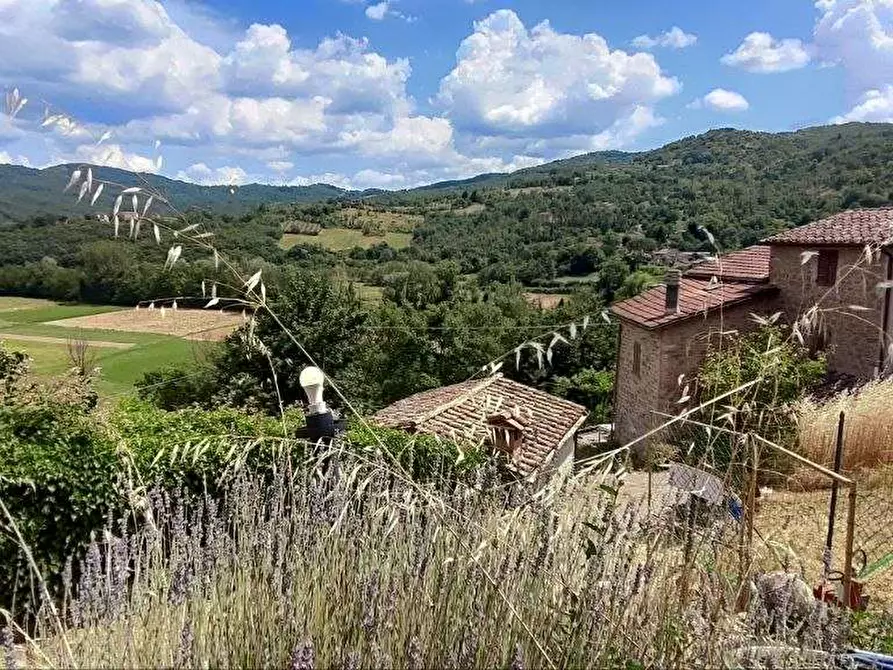 Immagine 36 di Porzione di casa in vendita  in San Leo Bastia a Città Di Castello