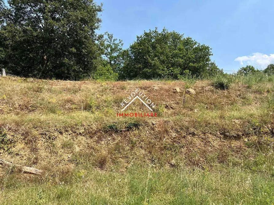 Immagine 53 di Villa in vendita  in Loc Cignano 48D a Sansepolcro