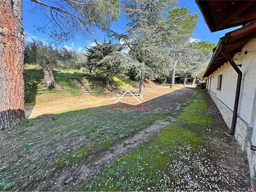 Immagine 14 di Villa in vendita  in Via della Martinella a Passignano Sul Trasimeno