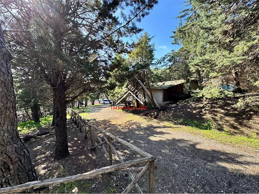 Immagine 24 di Villa in vendita  in Via della Martinella a Passignano Sul Trasimeno