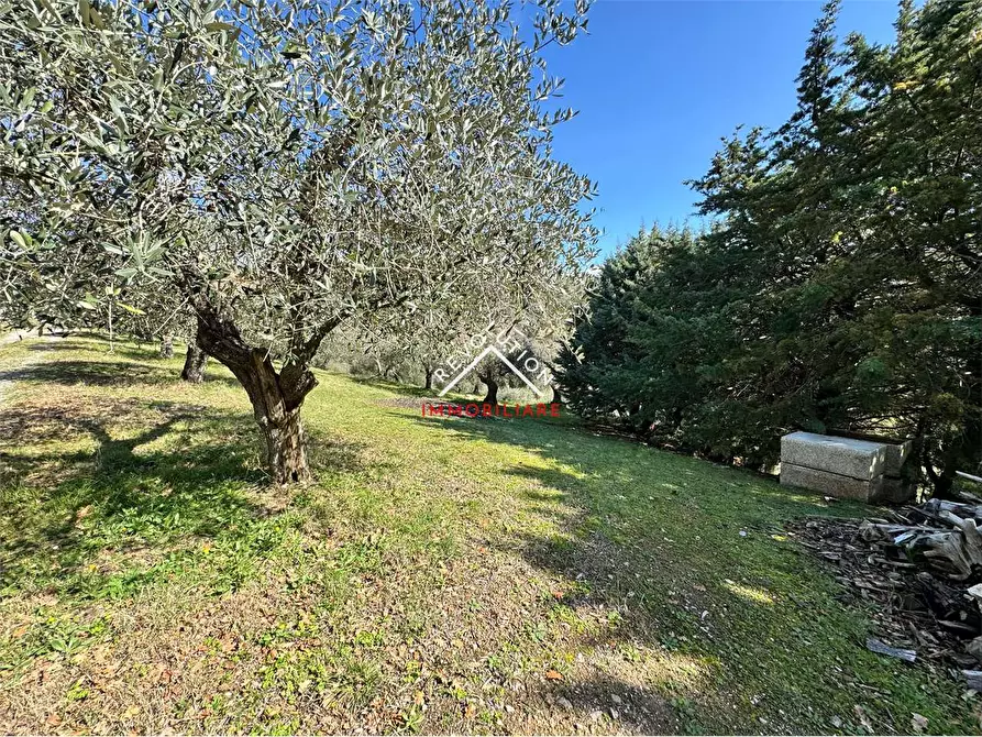 Immagine 35 di Villa in vendita  in Via della Martinella a Passignano Sul Trasimeno