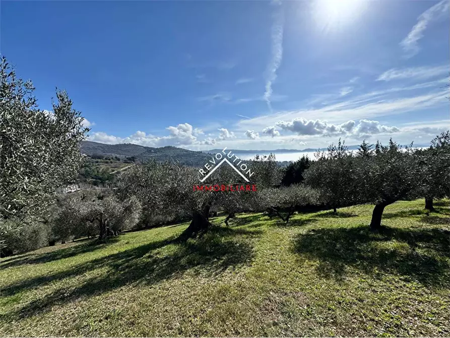 Immagine 36 di Villa in vendita  in Via della Martinella a Passignano Sul Trasimeno