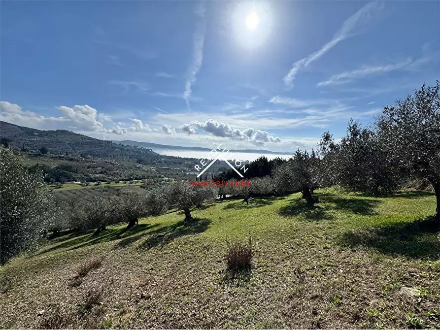 Immagine 37 di Villa in vendita  in Via della Martinella a Passignano Sul Trasimeno