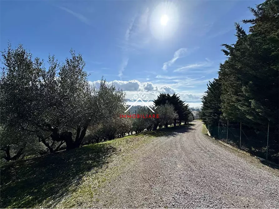 Immagine 39 di Villa in vendita  in Via della Martinella a Passignano Sul Trasimeno