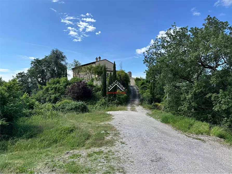 Immagine 29 di Maisonette in vendita  in Vocabolo Poggio Morico a Valfabbrica