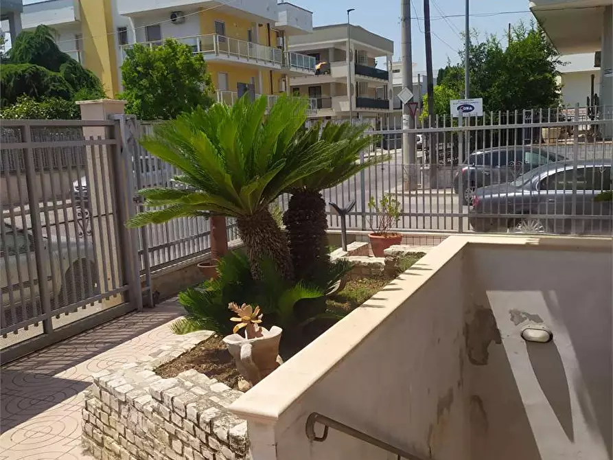 Immagine 36 di Appartamento in vendita  a Bitonto