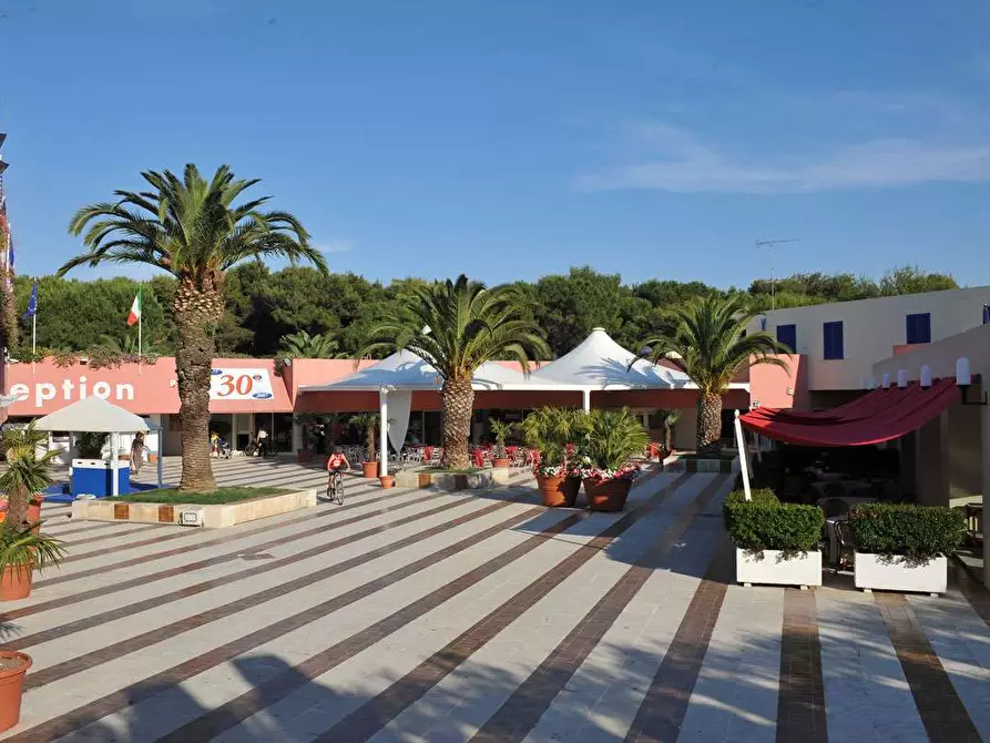 Immagine 7 di Bilocale in vendita  a Otranto